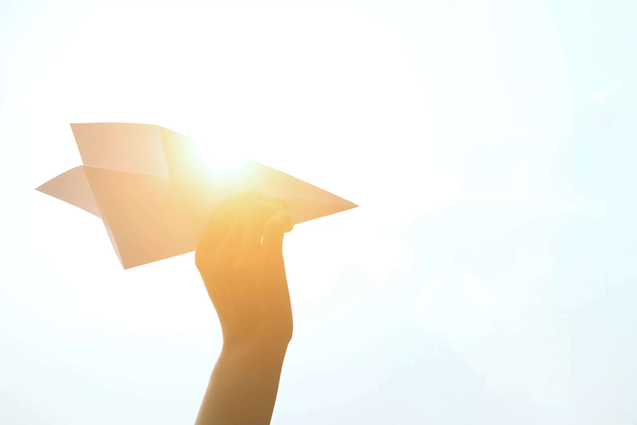 מטוס נייר ביד